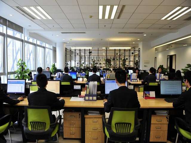 中山农业无土栽培哪家好